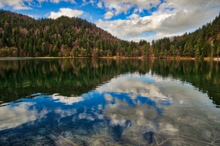 Alatsee