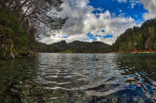 Alatsee (9)