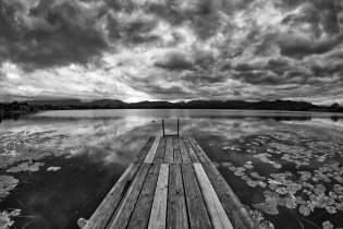 Hopfen am See