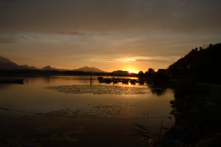 Hopfen am See