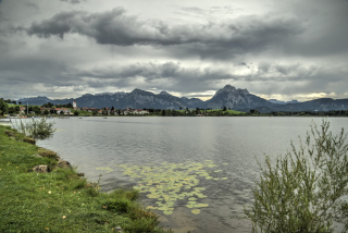 Hopfen am See