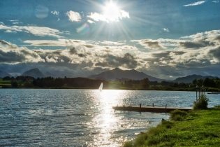 Hopfen am See