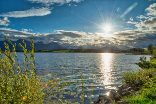 Hopfen am See