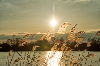 Mainparksee_15