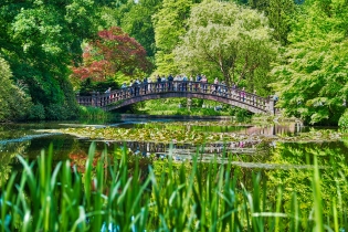Wolfsgarten (Langen)
