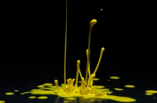 Color in Motion - Yellow