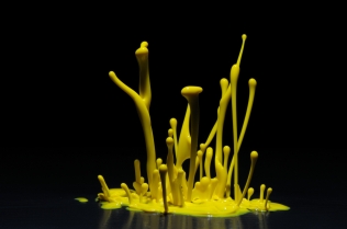 Color in Motion - Yellow