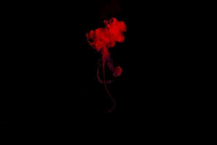 Liquid Flow - Red_4