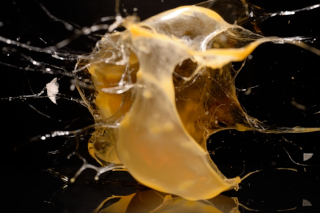 Eier / Eggs