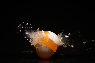 Eier / Eggs