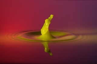 Tropfen in Wasser (331)