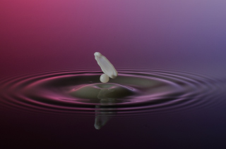 Tropfen in Wasser (379)