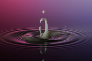 Tropfen in Wasser (424)