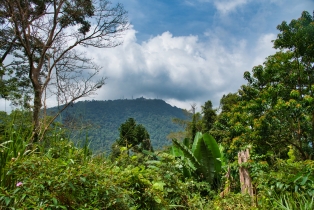 Gunung Raya_37