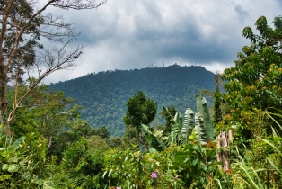 Gunung Raya_38