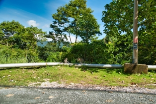 Gunung Raya