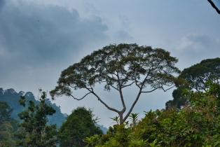 Gunung Raya