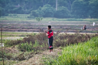 Rice Field_12