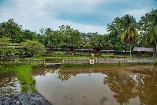 Rice Garden