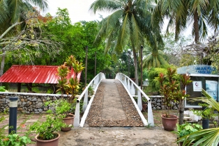 Rice Garden