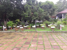 Rice Garden_5