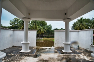 Rice Garden