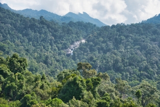 Sky Bridge