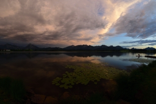 Timelapse Hopfen am See (2020-06-29)