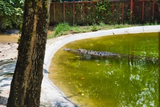 Wildlife Park
