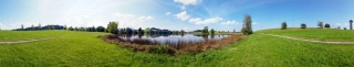 Schwaltenweiher (1)