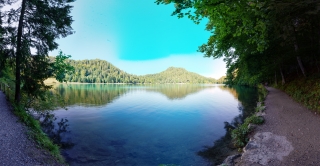 Alatsee