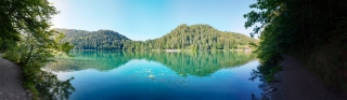 Alatsee
