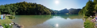 Alatsee