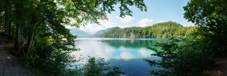 Alpsee