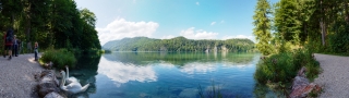 Alpsee