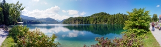 Alpsee
