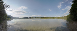 Hopfen am See (5)