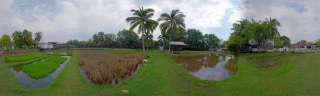 Rice Garden (2)