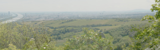 Wien Skyline