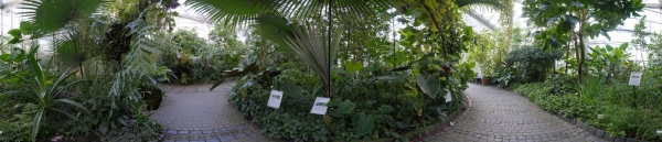 Palmengarten (1)