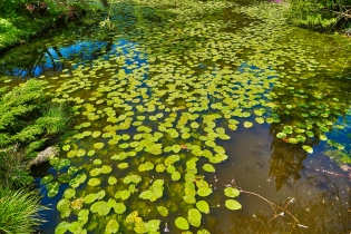 Wolfsgarten (Langen)